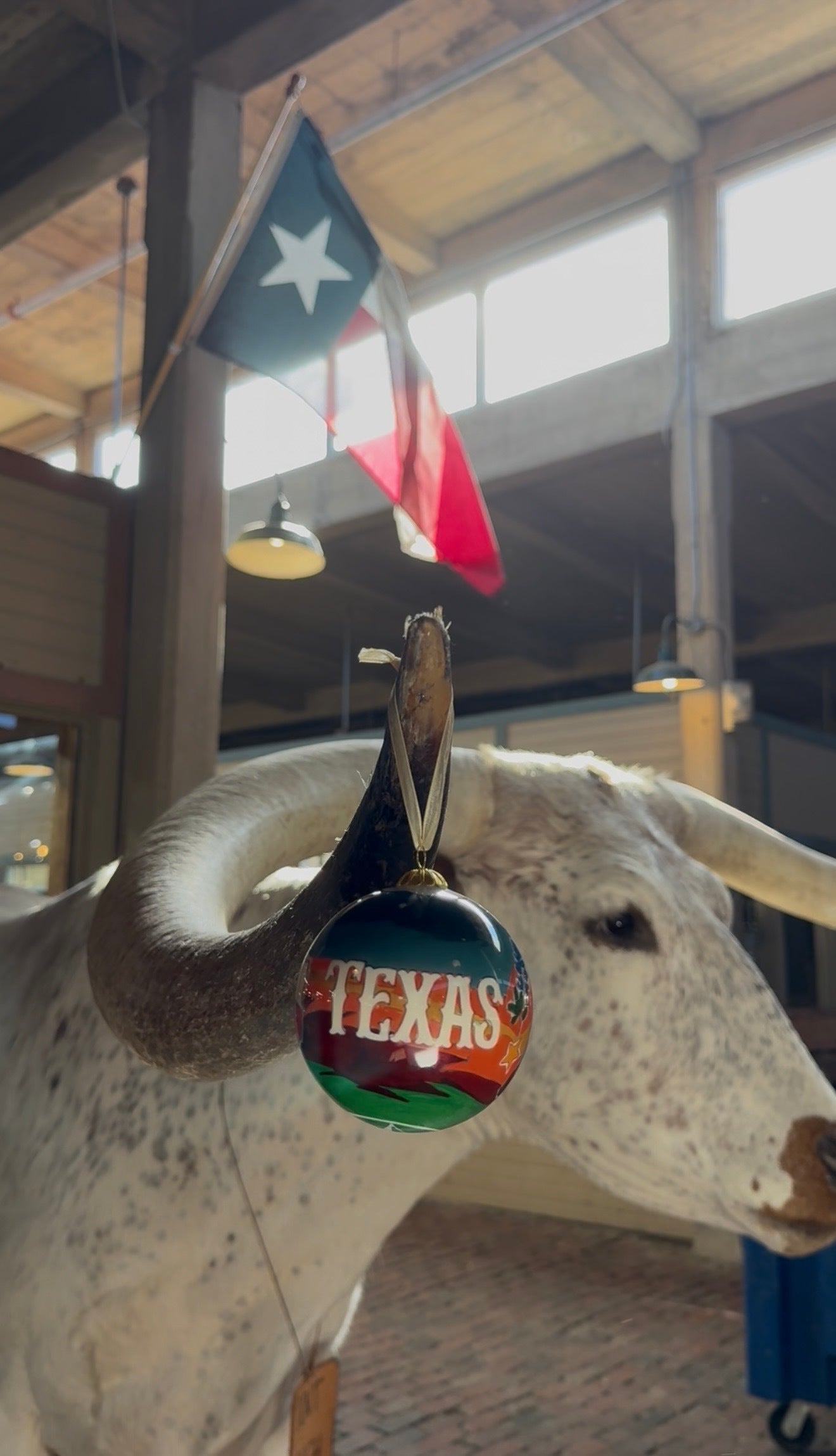 NEW 2025 Texas Proud Ornament - Texas Christmas Ornament